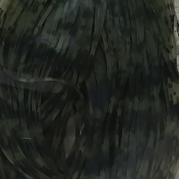 Tamno maslinasta