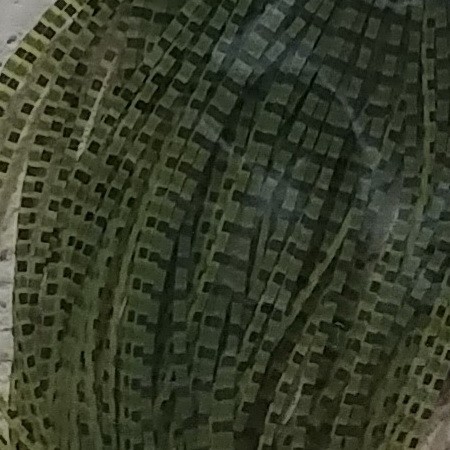 BB Maslinasta