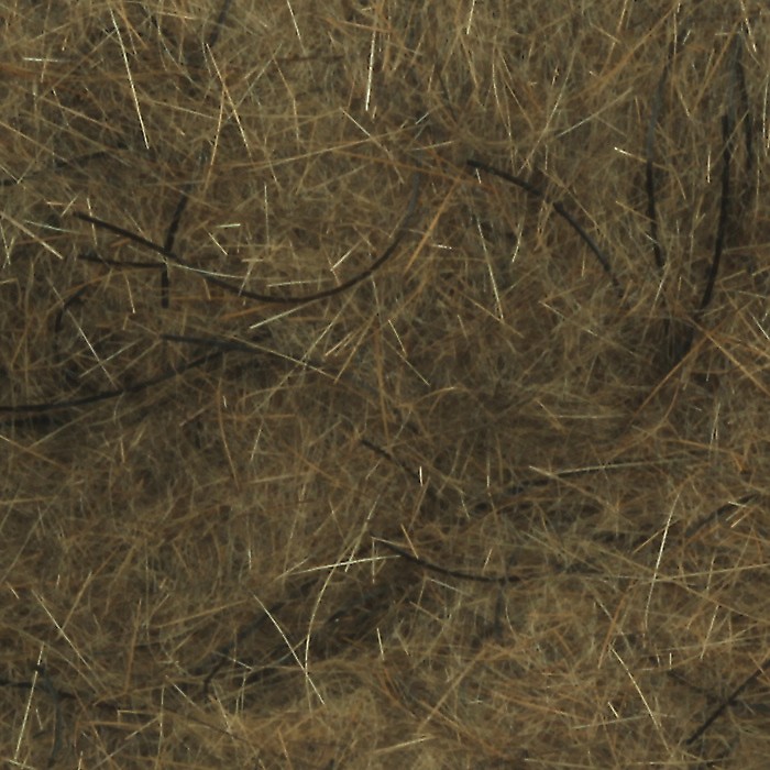 Ten